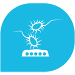 category-icon-image